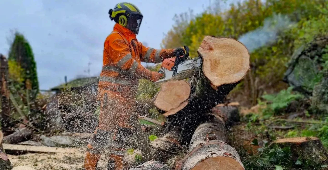 Avansert Trefelling AS